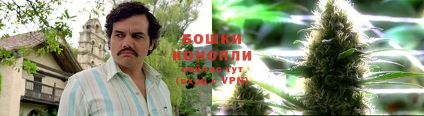 амф Барнаул