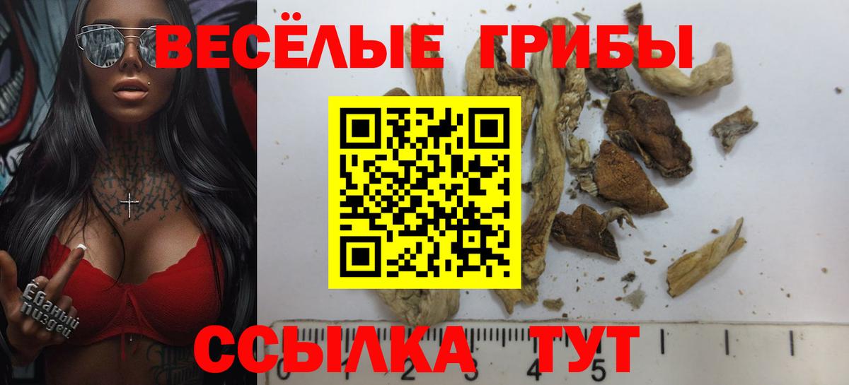 Видное  Псилоцибиновые грибы Magic Shrooms  Галлюциногенные грибы прущие грибы  Вход с VPN 