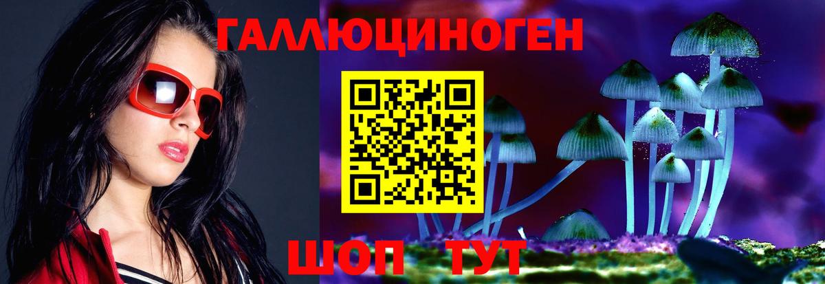 где продают   Видное  Псилоцибиновые грибы мицелий  Галлюциногенные грибы мухоморы 