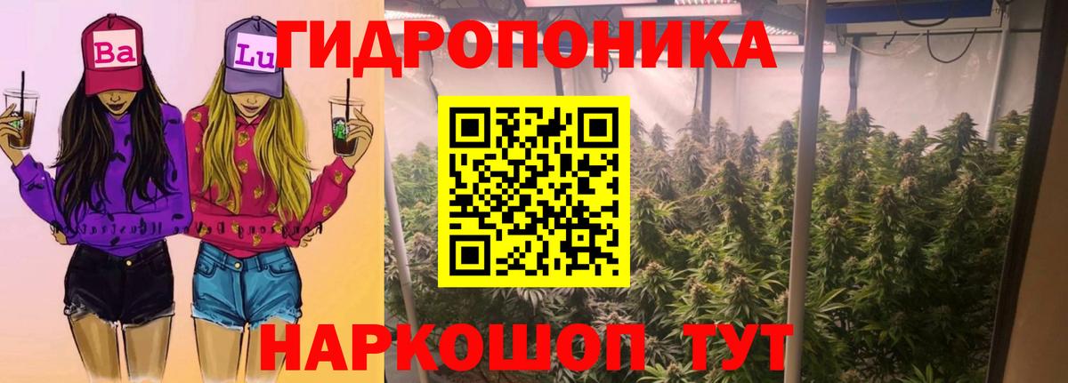 Бошки Шишки план  Конопля конопля  МАРИХУАНА семена  Видное 